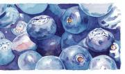 Susan-Bull-blueberries